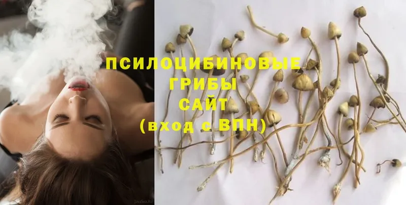 Псилоцибиновые грибы MAGIC MUSHROOMS  hydra ONION  Дмитровск 